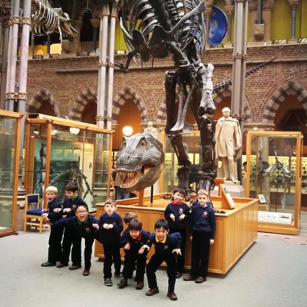 Oxford University Museum of Natural History (2)
